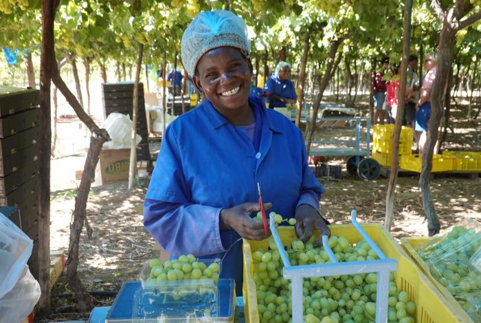 Creating jobs in Namibia’s agriculture sector